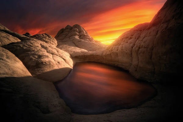 Steve Berkley: White Pocket XIII by Steve Berkley