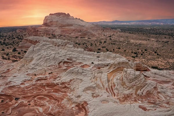 Steve Berkley: White Pocket XVII by Steve Berkley