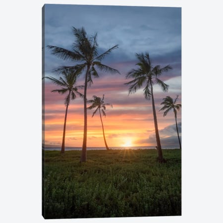 Maui Canvas Print #BKY136} by Steve Berkley Art Print