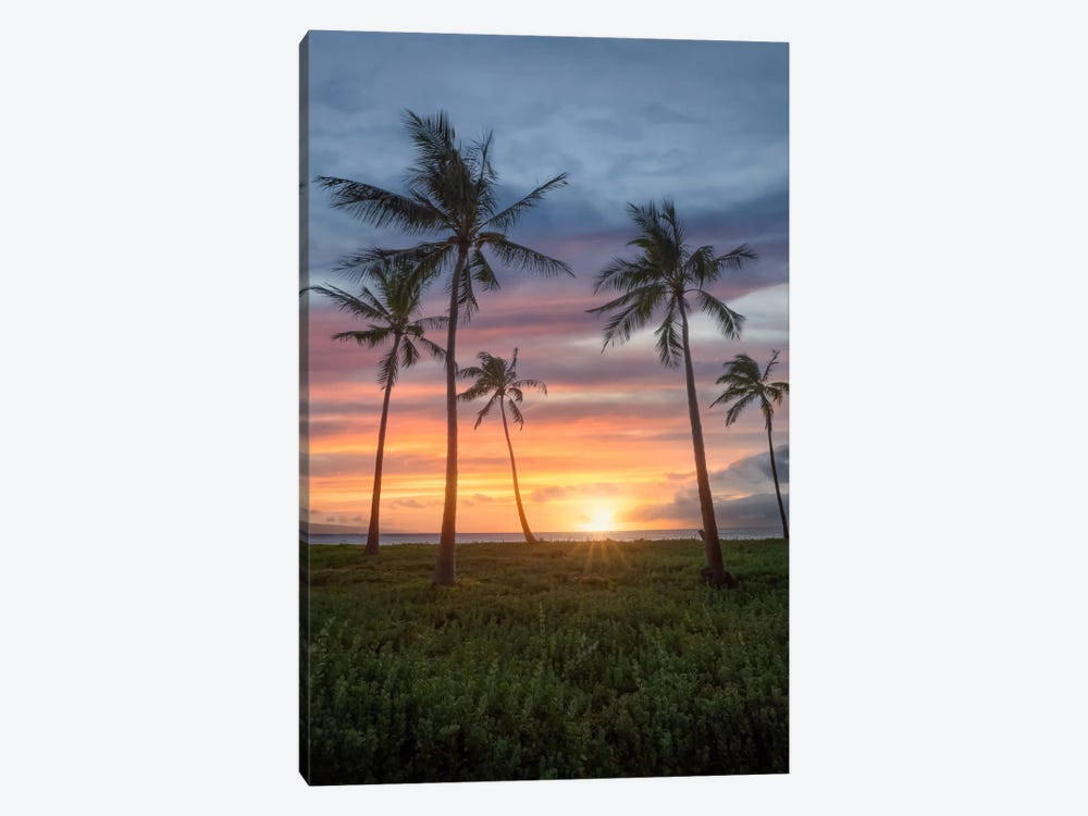 Maui by Steve Berkley 1-piece Canvas Artwork