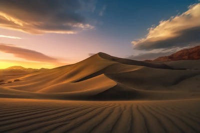 Ibex by Steve Berkley canvas print