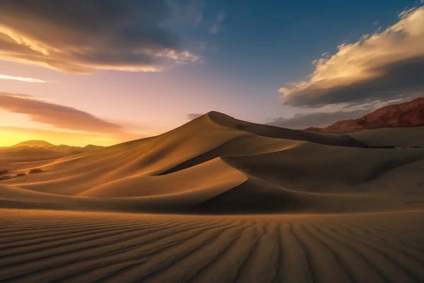 Steve Berkley: Ibex by Steve Berkley