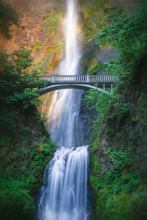 Multnomah by Steve Berkley wall art