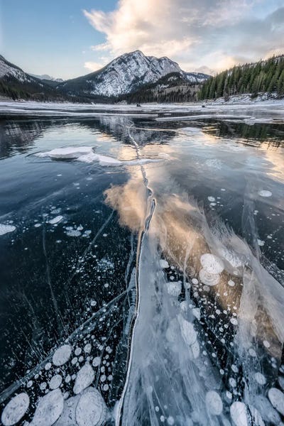 Steve Berkley: Bubbling Barrier by Steve Berkley
