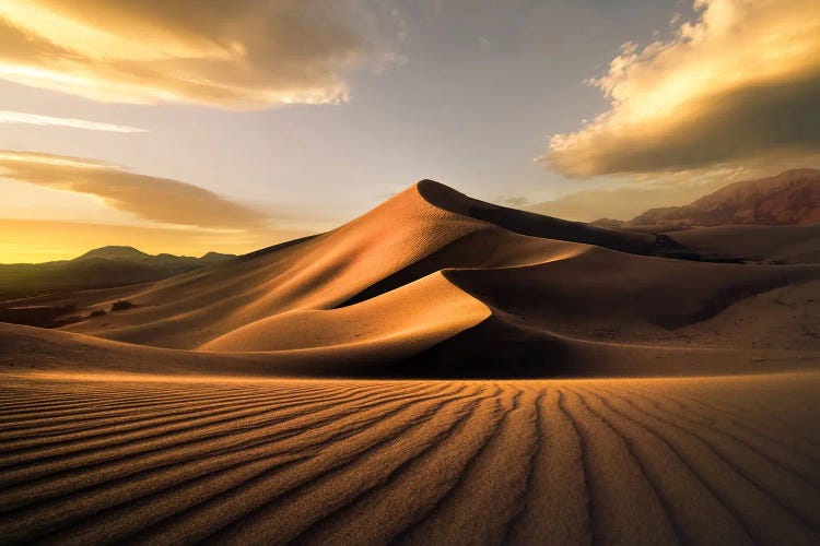Ibex Sand Dunes by Steve Berkley wall art