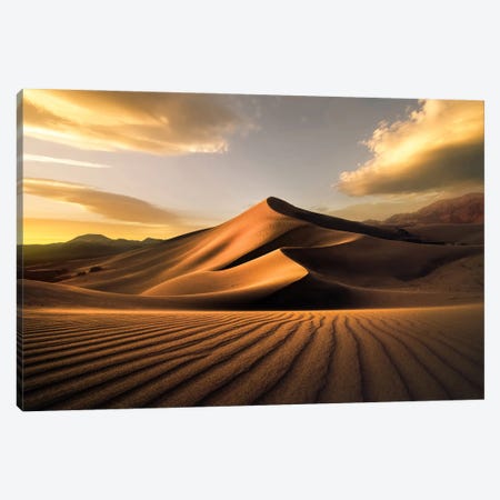 Ibex Sand Dunes Canvas Print #BKY150} by Steve Berkley Canvas Art