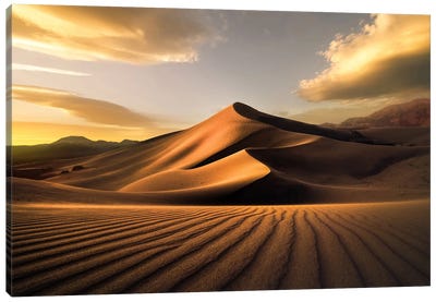 Ibex Sand Dunes Canvas Art Print - Steve Berkley