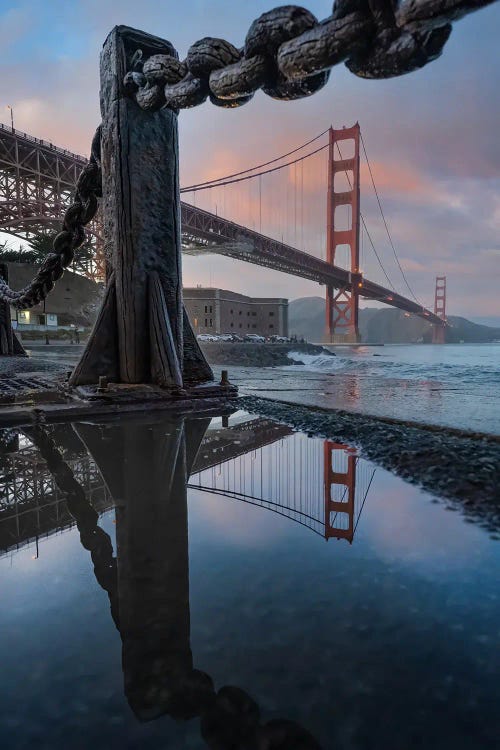 Golden Puddle by Steve Berkley wall art