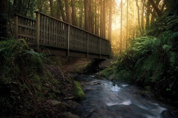 Washington: Cascade by Steve Berkley