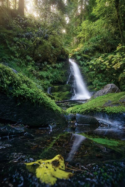 Steve Berkley: Cascade II by Steve Berkley