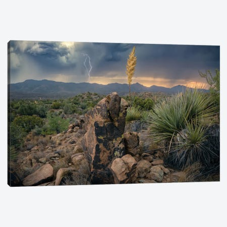 Elemental Arizona III Canvas Print #BKY34} by Steve Berkley Canvas Art Print