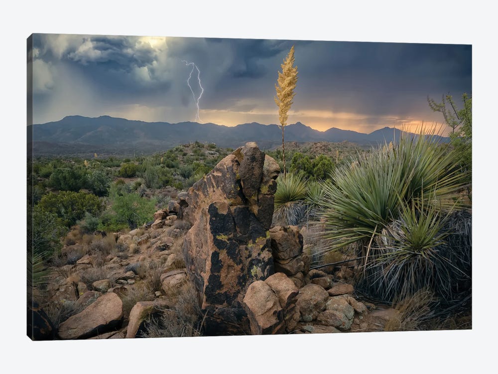 Elemental Arizona III by Steve Berkley 1-piece Canvas Print