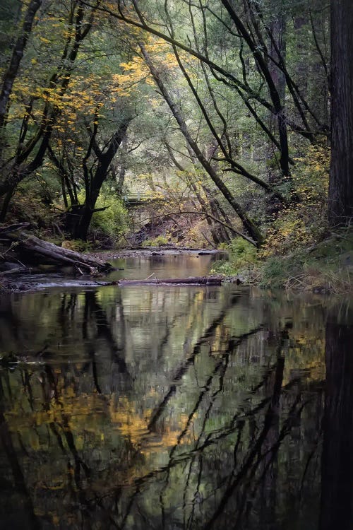 Fall Reflections