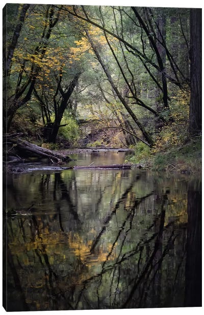 Fall Reflections Canvas Art Print - Steve Berkley