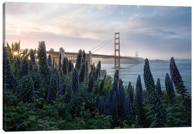 Golden Gate at the Presidio Canvas Art Print - Golden Gate Bridge