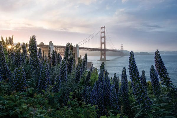 Steve Berkley: Golden Gate at the Presidio by Steve Berkley