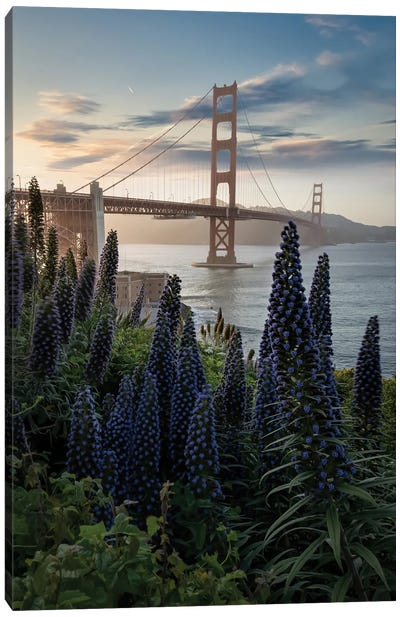 Golden Gate at the Presidio IV Canvas Art Print - Golden Gate Bridge