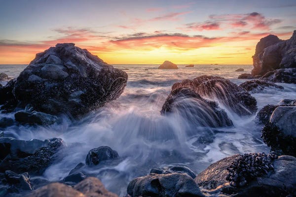 Steve Berkley: Golden Muir III by Steve Berkley