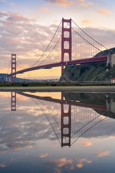 San Francisco: Golden Pond V by Steve Berkley