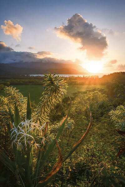 Steve Berkley: Kalalau Valley Lookout II by Steve Berkley