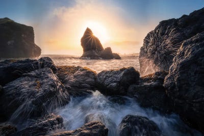Luffenholtz Beach II by Steve Berkley framed canvas print