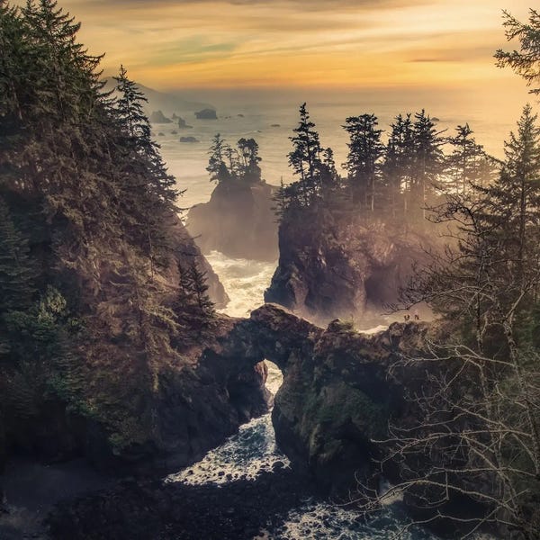 Oregon: Arches and Islands by Steve Berkley