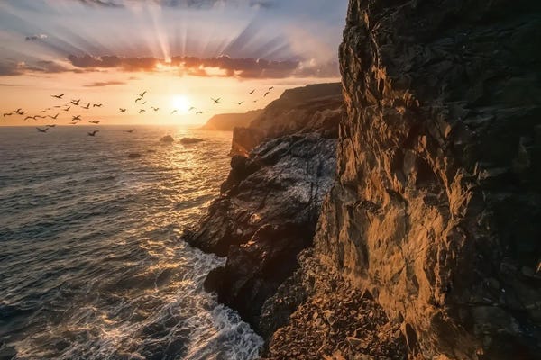 Steve Berkley: Marin Headlands V by Steve Berkley