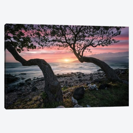 Maui Sunset Canvas Print #BKY64} by Steve Berkley Canvas Artwork
