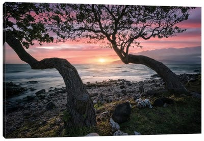 Maui Sunset Canvas Art Print - Steve Berkley