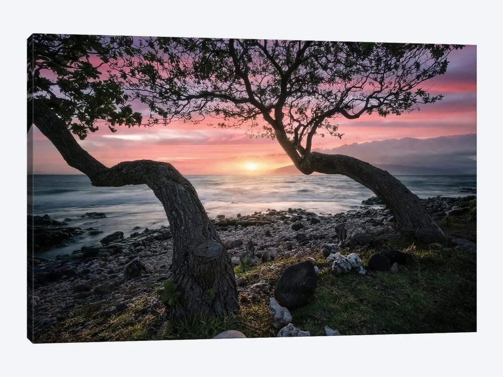 Maui Sunset by Steve Berkley 1-piece Canvas Wall Art