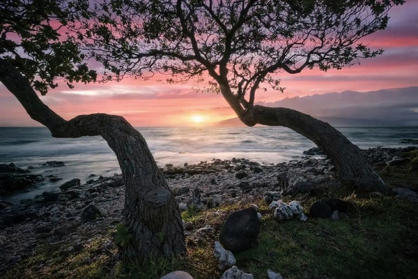 Steve Berkley: Maui Sunset by Steve Berkley