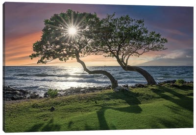 Maui Sunset III Canvas Art Print - Steve Berkley