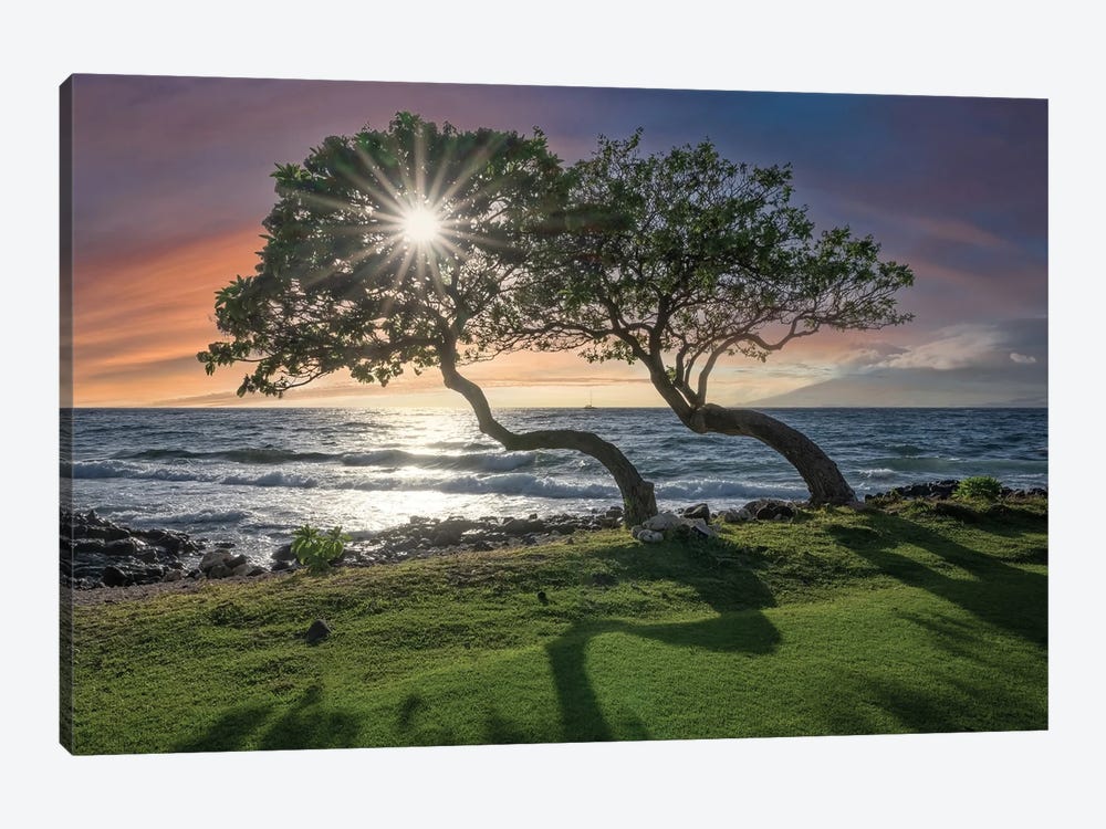 Maui Sunset III by Steve Berkley 1-piece Canvas Print