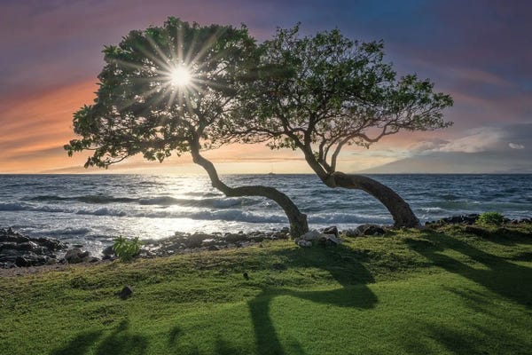 Steve Berkley: Maui Sunset III by Steve Berkley