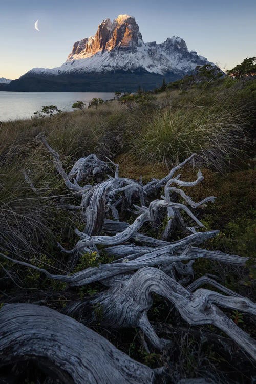 Moonrise in Patagonian Fjords III