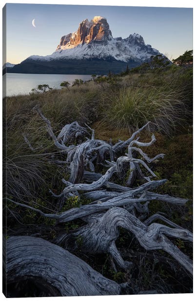 Moonrise in Patagonian Fjords III Canvas Art Print - Steve Berkley