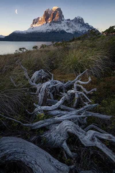 Steve Berkley: Moonrise in Patagonian Fjords III by Steve Berkley