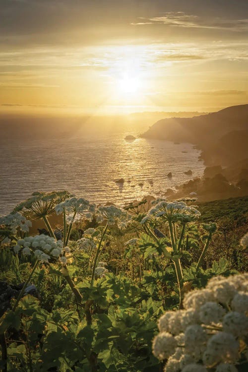 Pacific Coast Highway