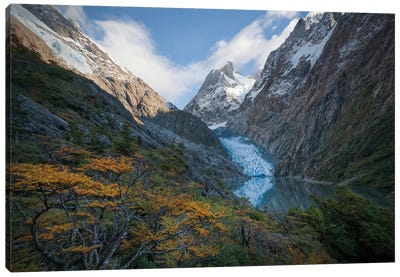 Patagonian Fall Canvas Art Print - Steve Berkley