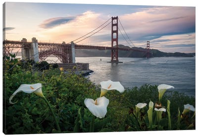 Presidio Springtime II Canvas Art Print - Golden Gate Bridge