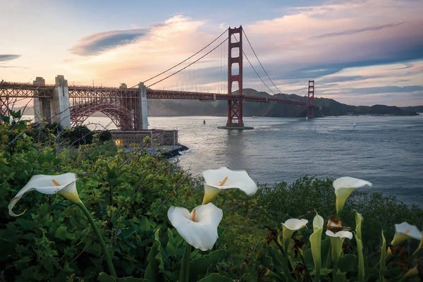 San Francisco: Presidio Springtime II by Steve Berkley