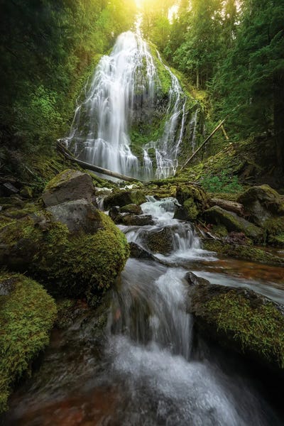 Oregon: Proxy Falls by Steve Berkley