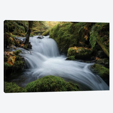Quinalt Waterfall Canvas Print #BKY86} by Steve Berkley Canvas Artwork