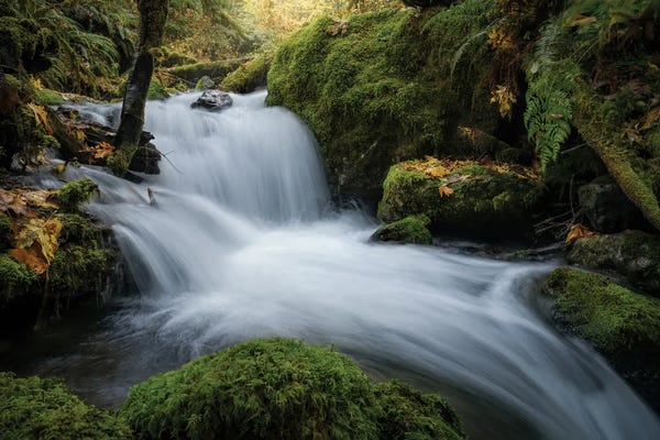Washington: Quinalt Waterfall by Steve Berkley