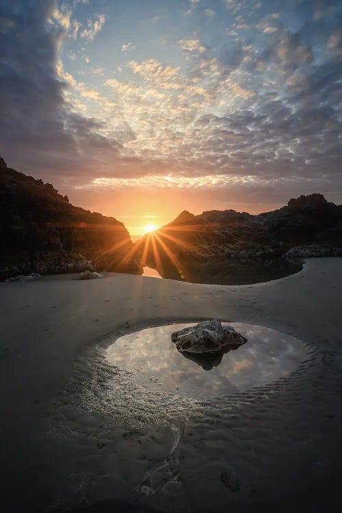 Reflecting Pool by Steve Berkley wall art