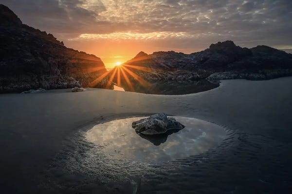 Steve Berkley: Reflecting Pool II by Steve Berkley