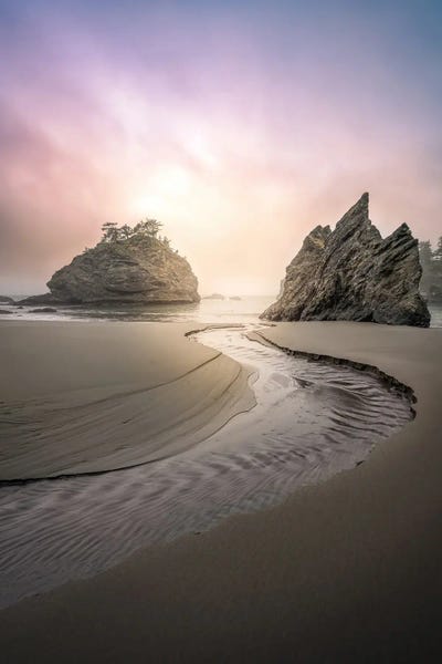 Oregon: S in Secret by Steve Berkley