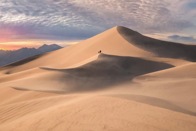 Sandstorm at Ibex IX by Steve Berkley wall art