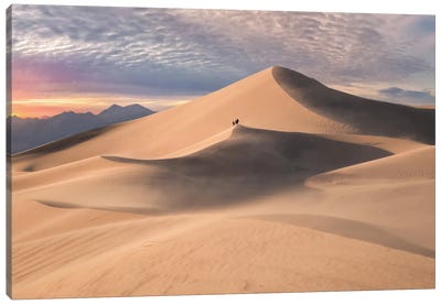 Sandstorm at Ibex IX Canvas Art Print - Steve Berkley