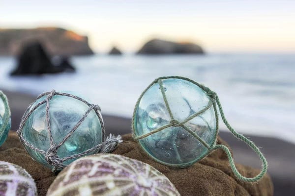 Alan Blaustein: Crescent Beach Shells XVI by Alan Blaustein